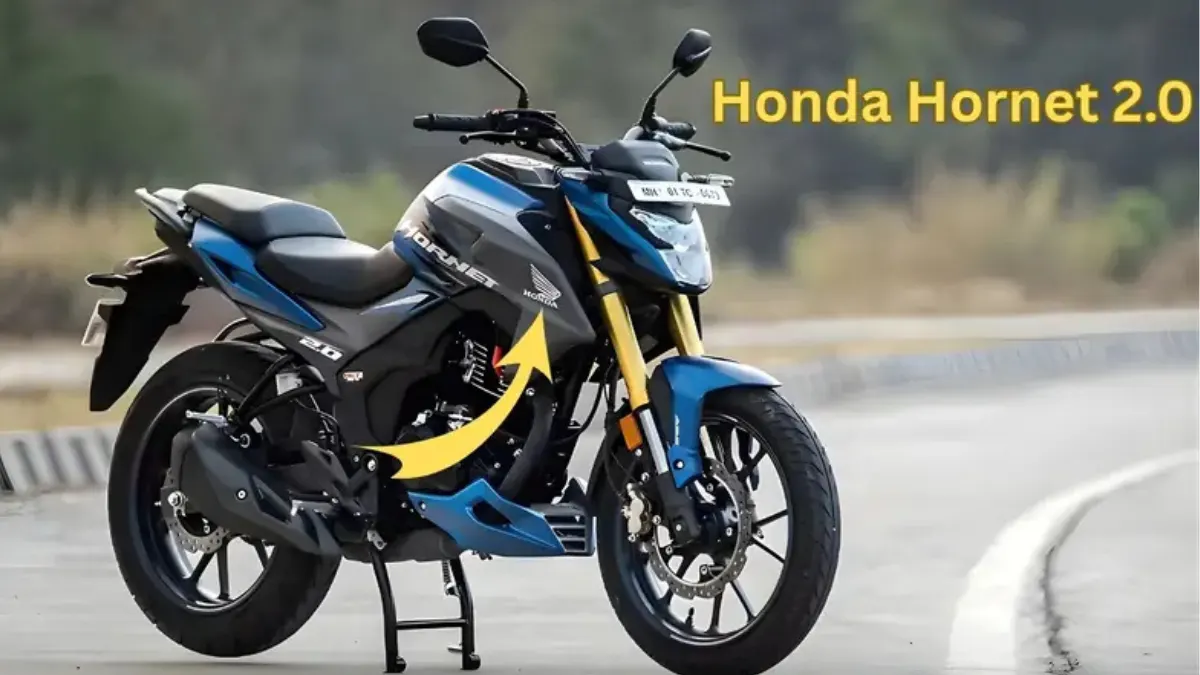 Honda Hornet 2.0